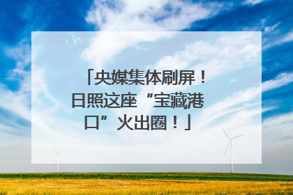 央媒集体刷屏！日照这座“宝藏港口”火出圈！