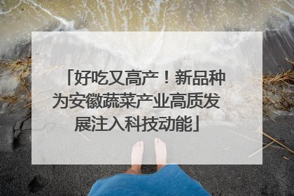 好吃又高产！新品种为安徽蔬菜产业高质发展注入科技动能