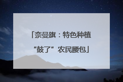 奈曼旗：特色种植“鼓了”农民腰包
