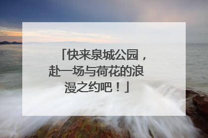 快来泉城公园，赴一场与荷花的浪漫之约吧！