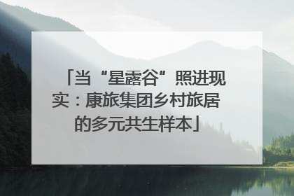 当“星露谷”照进现实：康旅集团乡村旅居的多元共生样本
