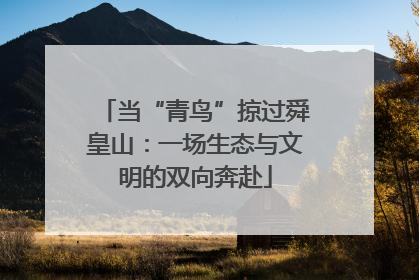 当“青鸟”掠过舜皇山：一场生态与文明的双向奔赴