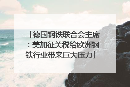 德国钢铁联合会主席：美加征关税给欧洲钢铁行业带来巨大压力