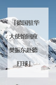德国驻华大使馆回应樊振东赴德打球