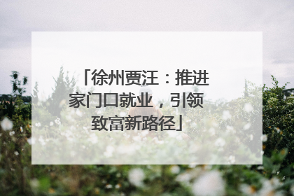 徐州贾汪：推进家门口就业，引领致富新路径