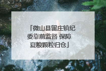 微山县留庄镇纪委靠前监督 保障夏粮颗粒归仓
