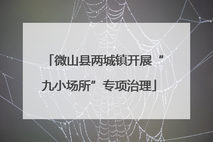 微山县两城镇开展“九小场所”专项治理