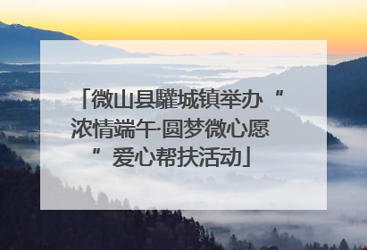 微山县驩城镇举办“浓情端午·圆梦微心愿”爱心帮扶活动