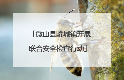 微山县驩城镇开展联合安全检查行动