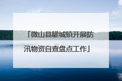 微山县驩城镇开展防汛物资自查盘点工作