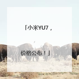 小米YU7，价格公布！