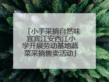小手采摘自然味 宜宾江安西江小学开展劳动基地蔬菜采摘售卖活动