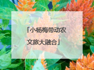 小杨梅带动农文旅大融合