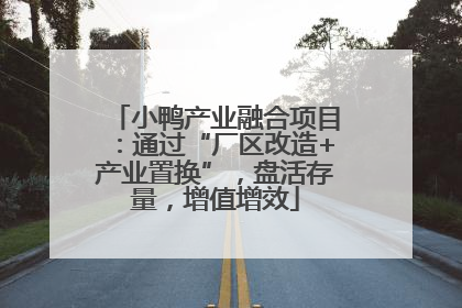 小鸭产业融合项目：通过“厂区改造+产业置换”，盘活存量，增值增效