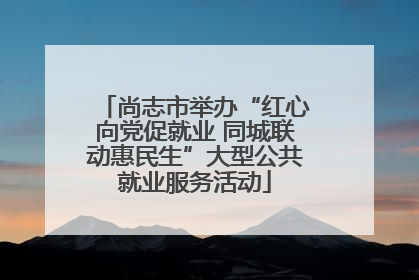 尚志市举办“红心向党促就业 同城联动惠民生”大型公共就业服务活动