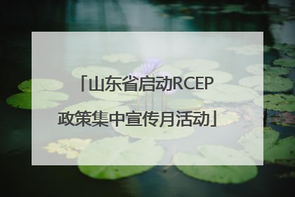 山东省启动RCEP政策集中宣传月活动
