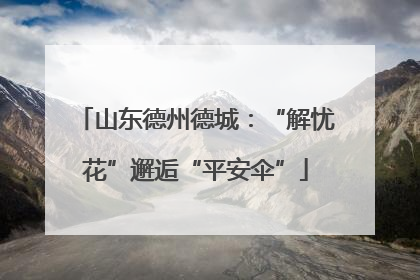山东德州德城：“解忧花”邂逅“平安伞”