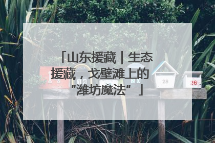 山东援藏｜生态援藏，戈壁滩上的“潍坊魔法”