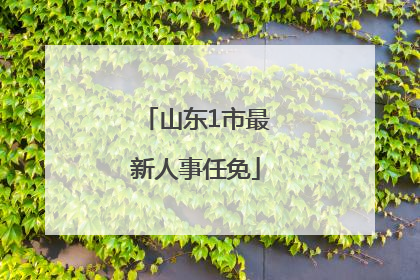 山东1市最新人事任免