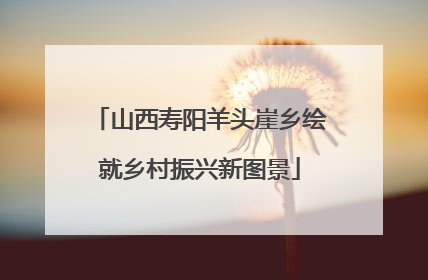 山西寿阳羊头崖乡绘就乡村振兴新图景