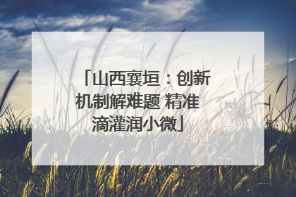 山西襄垣：创新机制解难题 精准滴灌润小微