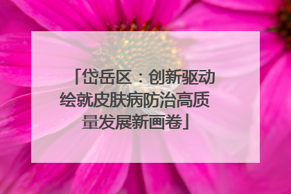 岱岳区：创新驱动绘就皮肤病防治高质量发展新画卷