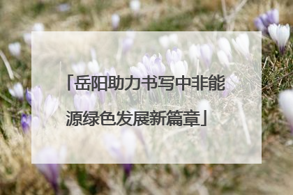 岳阳助力书写中非能源绿色发展新篇章