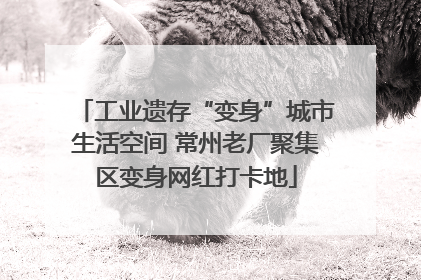 工业遗存“变身”城市生活空间 常州老厂聚集区变身网红打卡地