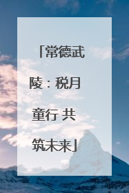 常德武陵：税月童行 共筑未来