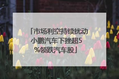 市场利空持续扰动 小鹏汽车下挫超5%领跌汽车股