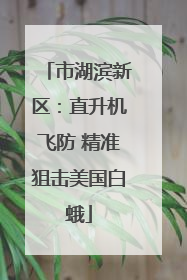 市湖滨新区：直升机飞防 精准狙击美国白蛾