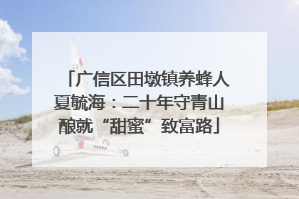 广信区田墩镇养蜂人夏毓海：二十年守青山酿就“甜蜜”致富路