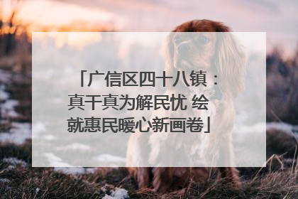 广信区四十八镇：真干真为解民忧 绘就惠民暖心新画卷