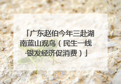 广东赵伯今年三赴湖南蓝山观鸟（民生一线·银发经济促消费）