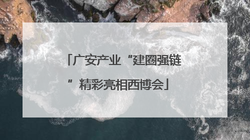 广安产业“建圈强链”精彩亮相西博会