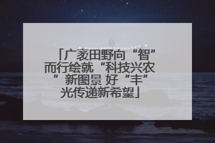 广袤田野向“智”而行绘就“科技兴农”新图景 好“丰”光传递新希望