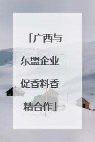 广西与东盟企业促香料香精合作