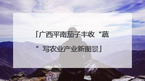 广西平南茄子丰收“蔬”写农业产业新图景