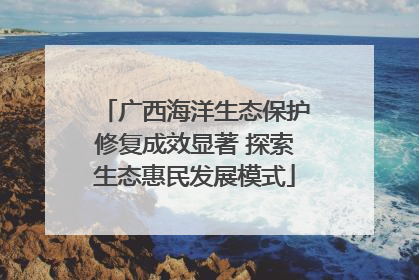 广西海洋生态保护修复成效显著 探索生态惠民发展模式