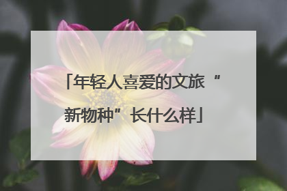 年轻人喜爱的文旅“新物种”长什么样