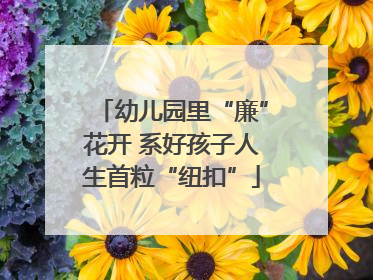 幼儿园里“廉”花开 系好孩子人生首粒“纽扣”