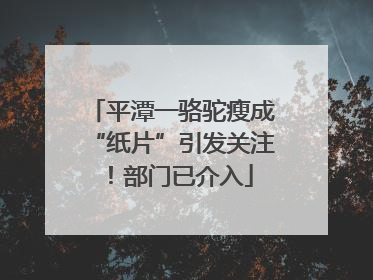 平潭一骆驼瘦成“纸片”引发关注！部门已介入