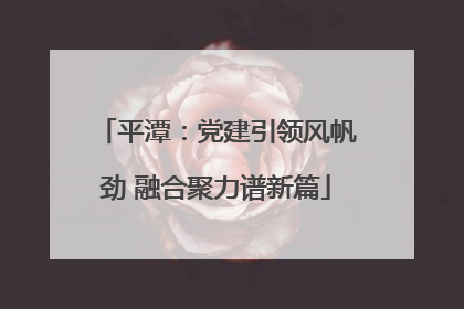 平潭：党建引领风帆劲 融合聚力谱新篇