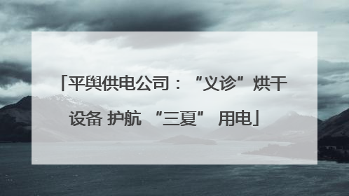 平舆供电公司：“义诊”烘干设备 护航 “三夏” 用电