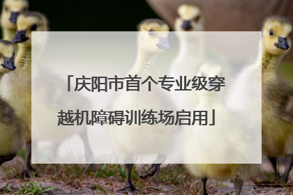 庆阳市首个专业级穿越机障碍训练场启用