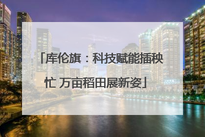 库伦旗：科技赋能插秧忙 万亩稻田展新姿