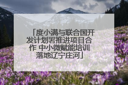 度小满与联合国开发计划署推进项目合作 中小微赋能培训落地辽宁庄河