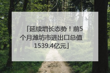 延续增长态势！前5个月潍坊市进出口总值1539.4亿元