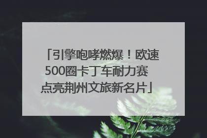 引擎咆哮燃爆！欧速500圈卡丁车耐力赛点亮荆州文旅新名片