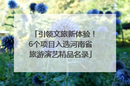 引领文旅新体验！6个项目入选河南省旅游演艺精品名录